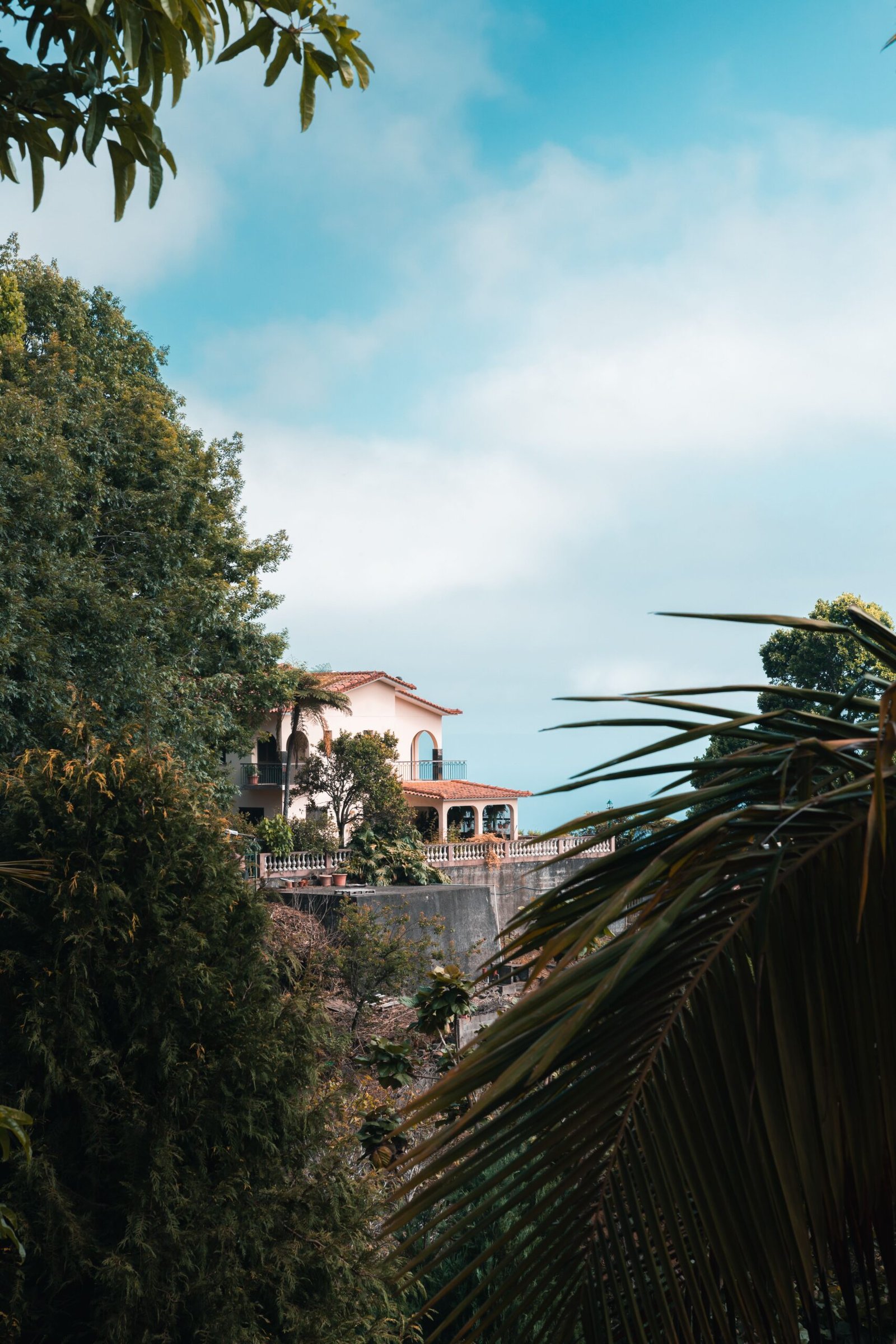 pexels-ryank-27429838